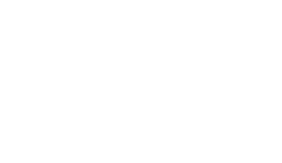 Southern Reins logo